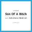 son of a bitch แปลว่า?, คำศัพท์ภาษาอังกฤษ son of a bitch แปลว่า บ้าจริง (คำหยาบ), ให้ตายซิ, ระยำ ประเภท SL หมวด SL