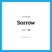 ตม. ภาษาอังกฤษ?, คำศัพท์ภาษาอังกฤษ ตม แปลว่า sorrow ประเภท N หมวด N