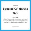 สละ ภาษาอังกฤษ?, คำศัพท์ภาษาอังกฤษ สละ แปลว่า species of marine fish ประเภท N เพิ่มเติม ชื่อปลาทะเลชนิด Scomberoides sancti ในวงศ์ Carangidae ลำตัวแบนข้างและกว้างมาก มีจุดดำใหญ่อยู่บนเส้นข้างตัว 5-8 จุด ตาเล็กอยู่สูง ขนาดโตได้ถึง 1.5 เมตร หมวด N