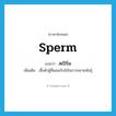 sperm แปลว่า?, คำศัพท์ภาษาอังกฤษ sperm แปลว่า สเปิร์ม ประเภท N เพิ่มเติม เชื้อตัวผู้ที่ผสมกับไข่ในการขยายพันธุ์ หมวด N