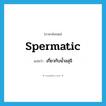 spermatic แปลว่า?, คำศัพท์ภาษาอังกฤษ spermatic แปลว่า เกี่ยวกับน้ำอสุจิ ประเภท N หมวด N