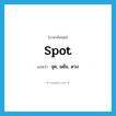 spot แปลว่า?, คำศัพท์ภาษาอังกฤษ spot แปลว่า จุด, แต้ม, ดวง ประเภท N หมวด N