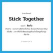 stick together แปลว่า?, คำศัพท์ภาษาอังกฤษ stick together แปลว่า ติดกัน ประเภท V ตัวอย่าง มะม่วงกวนติดกันเป็นก้อน ต้องแยกกันก่อนเอาใส่ถุง เพิ่มเติม อาการที่เข้าไปติดแน่นอยู่หรือเข้าเป็นหมู่หรือกลุ่มเดียวกัน หมวด V