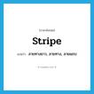 stripe แปลว่า?, คำศัพท์ภาษาอังกฤษ stripe แปลว่า ลายทางยาว, ลายทาง, ลายแถบ ประเภท N หมวด N