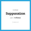 suppuration แปลว่า?, คำศัพท์ภาษาอังกฤษ suppuration แปลว่า การเป็นหนอง ประเภท N หมวด N