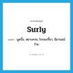 surly แปลว่า?, คำศัพท์ภาษาอังกฤษ surly แปลว่า บูดบึ้ง, หยาบคาย, โกรธเกรี้ยว, มีอารมณ์ร้าย ประเภท ADJ หมวด ADJ