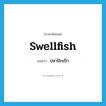 ปลาปักเป้า ภาษาอังกฤษ?, คำศัพท์ภาษาอังกฤษ ปลาปักเป้า แปลว่า swellfish ประเภท N หมวด N