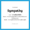 sympathy แปลว่า?, คำศัพท์ภาษาอังกฤษ sympathy แปลว่า ความเห็นอกเห็นใจ ประเภท N ตัวอย่าง ครอบครัวของผู้ตายได้รับความเห็นอกเห็นใจจากชาวบ้านเป็นอย่างมาก เพิ่มเติม ความร่วมรู้สึกในใจหรือเข้าใจความรู้สึกของผู้อื่น หมวด N