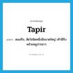 tapir แปลว่า?, คำศัพท์ภาษาอังกฤษ tapir แปลว่า สมเสร็จ, สัตว์ชนิดหนึ่งมีขนาดใหญ่ เท้ามีกีบ คล้ายหมูปากยาว ประเภท N หมวด N