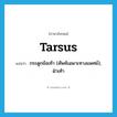 tarsus แปลว่า?, คำศัพท์ภาษาอังกฤษ tarsus แปลว่า กระดูกข้อเท้า (ศัพท์เฉพาะทางแพทย์), ฝ่าเท้า ประเภท N หมวด N