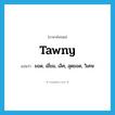 tawny แปลว่า?, คำศัพท์ภาษาอังกฤษ tawny แปลว่า ยอด, เยี่ยม, เลิศ, สุดยอด, วิเศษ ประเภท SL หมวด SL