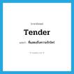 tender แปลว่า?, คำศัพท์ภาษาอังกฤษ tender แปลว่า ที่แสดงถึงความรักใคร่ ประเภท ADJ หมวด ADJ