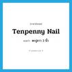 tenpenny nail แปลว่า?, คำศัพท์ภาษาอังกฤษ tenpenny nail แปลว่า ตะปูยาว 3 นิ้ว ประเภท N หมวด N