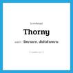 thorny แปลว่า?, คำศัพท์ภาษาอังกฤษ thorny แปลว่า มีหนามมาก, เต็มไปด้วยหนาม ประเภท ADJ หมวด ADJ