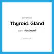 thyroid gland แปลว่า?, คำศัพท์ภาษาอังกฤษ thyroid gland แปลว่า ต่อมไทรอยด์ ประเภท N หมวด N