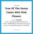 tree of the genus cassis with pink flowers แปลว่า?, คำศัพท์ภาษาอังกฤษ tree of the genus cassis with pink flowers แปลว่า กำมพฤกษ์ ประเภท N ตัวอย่าง เหล่าทวยเทพพากันเหาะไปยังต้นกำมพฤกษ์ เพิ่มเติม ต้นไม้ที่ทำขึ้นเนื่องในการทิ้งทานในงานเมรุหลวงและมีลูกมะนาวบรรจุเหรียญเงินห้อยอยู่ตามกิ่งต่างๆ ของต้นไม้นั้น หมวด N