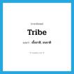 tribe แปลว่า?, คำศัพท์ภาษาอังกฤษ tribe แปลว่า เชื้อชาติ, ชนชาติ ประเภท N หมวด N