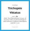 Trichopsis vittatus แปลว่า?, คำศัพท์ภาษาอังกฤษ Trichopsis vittatus แปลว่า กริม ประเภท N เพิ่มเติม ชื่อปลาน้ำจืดขนาดเล็กในสกุล Trichopsis วงศ์ Belontiidae พบทั่วไป รูปร่างคล้ายปลากัด ซึ่งอยู่ในวงศ์เดียวกัน แต่หัวแหลมกว่า และสีไม่สดสวย มักมีแถบสีเข้มพาดตลอดข้างตัว 2-3 แถบ หมวด N