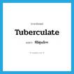 tuberculate แปลว่า?, คำศัพท์ภาษาอังกฤษ tuberculate แปลว่า ที่มีตุ่มเล็กๆ ประเภท ADJ หมวด ADJ