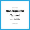 underground tunnel แปลว่า?, คำศัพท์ภาษาอังกฤษ underground tunnel แปลว่า อุโมงค์ใต้ดิน ประเภท N หมวด N