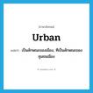 urban แปลว่า?, คำศัพท์ภาษาอังกฤษ urban แปลว่า เป็นลักษณะของเมือง, ทีเป็นลักษณะของชุมชนเมือง ประเภท ADJ หมวด ADJ