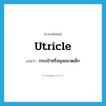 utricle แปลว่า?, คำศัพท์ภาษาอังกฤษ utricle แปลว่า กระเป๋าหรือถุงขนาดเล็ก ประเภท N หมวด N