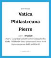 ตานขโมย ภาษาอังกฤษ?, คำศัพท์ภาษาอังกฤษ ตานขโมย แปลว่า Vatica philastreana Pierre ประเภท N ตัวอย่าง ลุงปลูกต้นตานขโมยไว้รวมกับพรรณไม้สมุนไพรอื่นๆ เพิ่มเติม ชื่อไม้ต้นชนิด Vatica philastreana Pierre ในวงศ์ Dipterocarpaceae ต้นสีดำ ผลใช้ทำยาได้ หมวด N