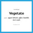 vegetate แปลว่า?, คำศัพท์ภาษาอังกฤษ vegetate แปลว่า อยู่เฉยๆ ไม่ทำอะไร, อยู่นิ่งๆ, ไม่สนใจสิ่งต่างๆ รอบตัว ประเภท VI หมวด VI