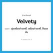 velvety แปลว่า?, คำศัพท์ภาษาอังกฤษ velvety แปลว่า นุ่มเหมือนกำมะหยี่, เหมือนกำมะหยี่, ลื่นและมัน ประเภท ADJ หมวด ADJ