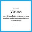 vicuna แปลว่า?, คำศัพท์ภาษาอังกฤษ vicuna แปลว่า สัตว์เคี้ยวเอื้องจำพวก Vicugna vicugna แถบเทือกเขาแอนดีส, สิ่งทอจากขนของสัตว์จำพวก Vicugna vicugna ประเภท N หมวด N