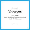 vigorous แปลว่า?, คำศัพท์ภาษาอังกฤษ vigorous แปลว่า เหิมฮึก ประเภท ADJ ตัวอย่าง เขากำลังอยู่ในภาวะเหิมฮึกในการปรับปรุงสังคม เพิ่มเติม ที่กำเริบโดยทะนงใจ หมวด ADJ