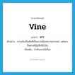 vine แปลว่า?, คำศัพท์ภาษาอังกฤษ vine แปลว่า เถา ประเภท N ตัวอย่าง หวายลิงเป็นพืชที่เป็นเถาเหมือนหวายธรรมดา แต่ชอบขึ้นตามที่ลุ่มซึ่งมีน้ำขัง เพิ่มเติม ลำต้นของไม้เลื้อย หมวด N