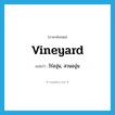 vineyard แปลว่า?, คำศัพท์ภาษาอังกฤษ vineyard แปลว่า ไร่องุ่น, สวนองุ่น ประเภท N หมวด N