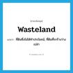 wasteland แปลว่า?, คำศัพท์ภาษาอังกฤษ wasteland แปลว่า ที่ดินซึ่งไม่ได้ทำประโยชน์, ที่ดินที่รกร้างว่างเปล่า ประเภท N หมวด N