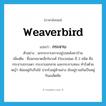 weaverbird แปลว่า?, คำศัพท์ภาษาอังกฤษ weaverbird แปลว่า กระจาบ ประเภท N ตัวอย่าง นกกระจาบเกาะอยู่บนหลังคาบ้าน เพิ่มเติม ชื่อนกขนาดเล็กในวงศ์ Ploceidae มี 3 ชนิด คือ กระจาบธรรมดา กระจาบอกลาย และกระจาบทอง ทำรังด้วยหญ้า ห้อยอยู่กับกิ่งไม้ ปากรังอยู่ด้านล่าง มักอยู่รวมกันเป็นหมู่ กินเมล็ดพืช หมวด N