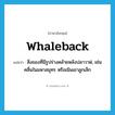 whaleback แปลว่า?, คำศัพท์ภาษาอังกฤษ whaleback แปลว่า สิ่งของที่มีรูปร่างคล้ายหลังปลาวาฬ, เช่น คลื่นในมหาสมุทร หรือเนินเขาลูกเล็ก ประเภท N หมวด N