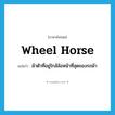 wheel horse แปลว่า?, คำศัพท์ภาษาอังกฤษ wheel horse แปลว่า ม้าตัวที่อยู่ใกล้ล้อหน้าที่สุดของรถม้า ประเภท N หมวด N