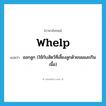 whelp แปลว่า?, คำศัพท์ภาษาอังกฤษ whelp แปลว่า ออกลูก (ใช้กับสัตว์ที่เลี้ยงลูกด้วยนมและกินเนื้อ) ประเภท VT หมวด VT