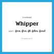 whipper แปลว่า?, คำศัพท์ภาษาอังกฤษ whipper แปลว่า ผู้หวด, ผู้โบย, ผู้ตี, ผู้เฆี่ยน, ผู้ลงแส้ ประเภท N หมวด N