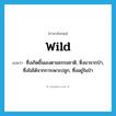 wild แปลว่า?, คำศัพท์ภาษาอังกฤษ wild แปลว่า ซึ่งเกิดขึ้นเองตามธรรมชาติ, ซึ่งมาจากป่า, ซึ่งไม่ได้จากการเพาะปลูก, ซึ่งอยู่ในป่า ประเภท ADJ หมวด ADJ