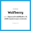 wolfberry แปลว่า?, คำศัพท์ภาษาอังกฤษ wolfberry แปลว่า ไม้พุ่มแถบอเมริกาเหนือที่มีผลสีขาว, ชื่อละตินคือ Symphoricarpos occidentalis ประเภท N หมวด N