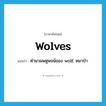 wolves แปลว่า?, คำศัพท์ภาษาอังกฤษ wolves แปลว่า คำนามพหูพจน์ของ wolf, หมาป่า ประเภท N หมวด N