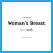 ดอกดั้ว ภาษาอังกฤษ?, คำศัพท์ภาษาอังกฤษ ดอกดั้ว แปลว่า woman&#39;s breast ประเภท N หมวด N