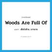 woods are full of แปลว่า?, คำศัพท์ภาษาอังกฤษ woods are full of แปลว่า เต็มไปด้วย, มากมาย ประเภท SL หมวด SL