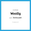 ซึ่งทำด้วยขนสัตว์ ภาษาอังกฤษ?, คำศัพท์ภาษาอังกฤษ ซึ่งทำด้วยขนสัตว์ แปลว่า woolly ประเภท ADJ หมวด ADJ