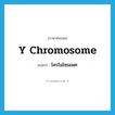 Y chromosome แปลว่า?, คำศัพท์ภาษาอังกฤษ Y chromosome แปลว่า โครโมโซมเพศ ประเภท N หมวด N