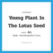 young plant in the lotus seed แปลว่า?, คำศัพท์ภาษาอังกฤษ young plant in the lotus seed แปลว่า ดีบัว ประเภท N เพิ่มเติม ต้นอ่อนซึ่งอยู่ในเม็ดบัว มีรสขม หมวด N