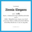 Zinnia elegans แปลว่า?, คำศัพท์ภาษาอังกฤษ Zinnia elegans แปลว่า บานชื่น ประเภท N ตัวอย่าง บ้านใหม่ของน้าชายปลูกบานชื่นไว้ริมทางเข้าบ้านเป็นแนวยาว เพิ่มเติม ไม้ล้มลุกชนิด Zinnia elegans Jacq. ในวงศ์ Compositae ลำต้นกลวง ใบเดี่ยวออกตรงข้ามกัน ไม่มีก้านใบ ดอกออกที่ยอด มีหลายสี เช่น ขาว แดง ม่วง ชมพู เหลือง หมวด N