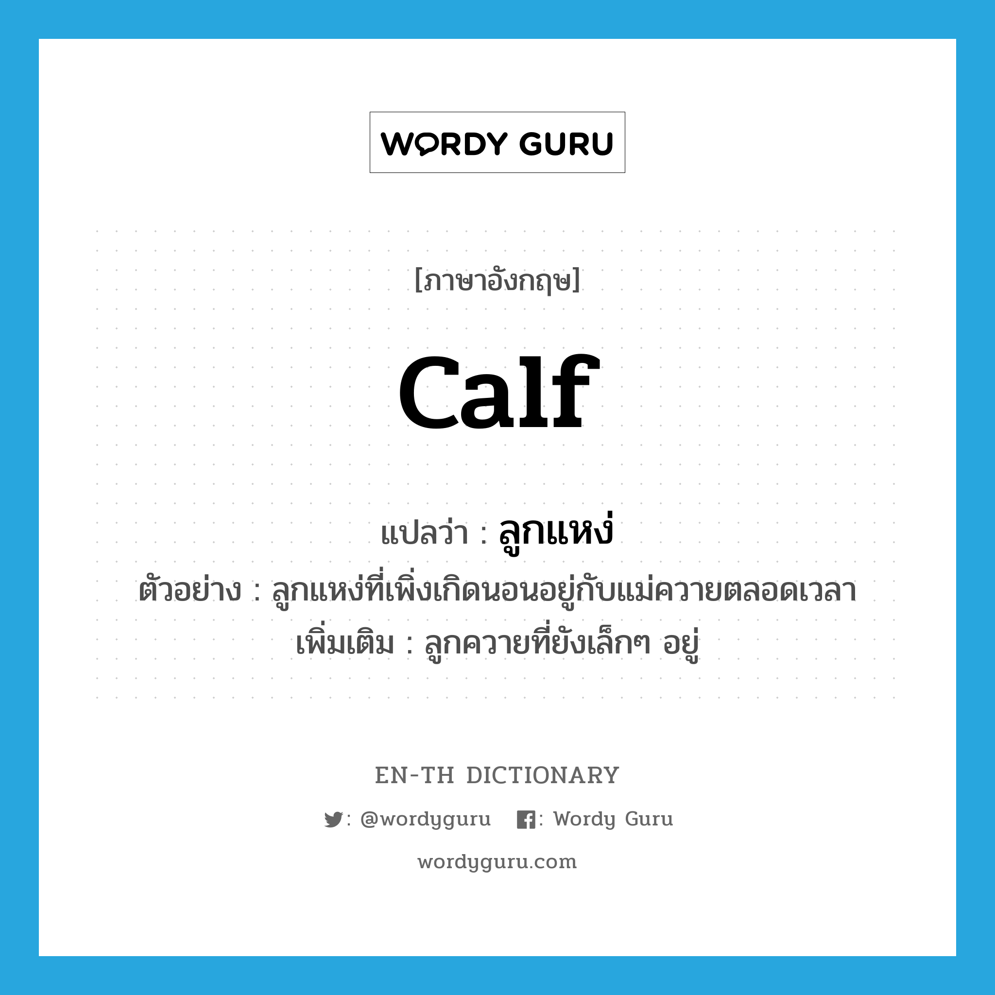 calf แปลว่า?, คำศัพท์ภาษาอังกฤษ calf แปลว่า ลูกแหง่ ประเภท N ตัวอย่าง ลูกแหง่ที่เพิ่งเกิดนอนอยู่กับแม่ควายตลอดเวลา เพิ่มเติม ลูกควายที่ยังเล็กๆ อยู่ หมวด N