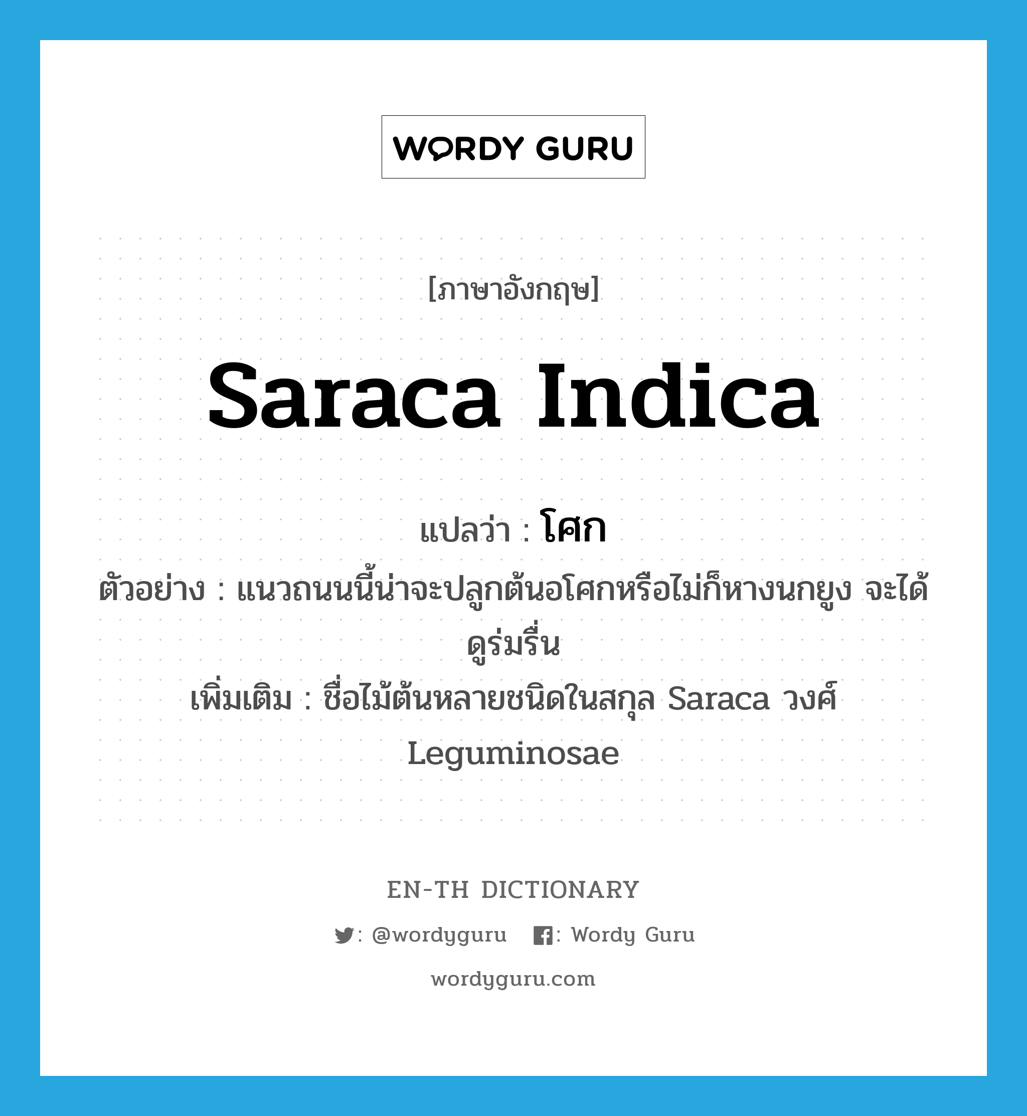 Saraca indica แปลว่า?, คำศัพท์ภาษาอังกฤษ Saraca indica แปลว่า โศก ประเภท N ตัวอย่าง แนวถนนนี้น่าจะปลูกต้นอโศกหรือไม่ก็หางนกยูง จะได้ดูร่มรื่น เพิ่มเติม ชื่อไม้ต้นหลายชนิดในสกุล Saraca วงศ์ Leguminosae หมวด N